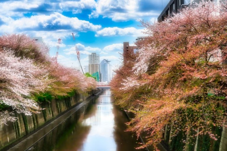 Meguro Tokyo Is One Of The Most Beautiful Wards