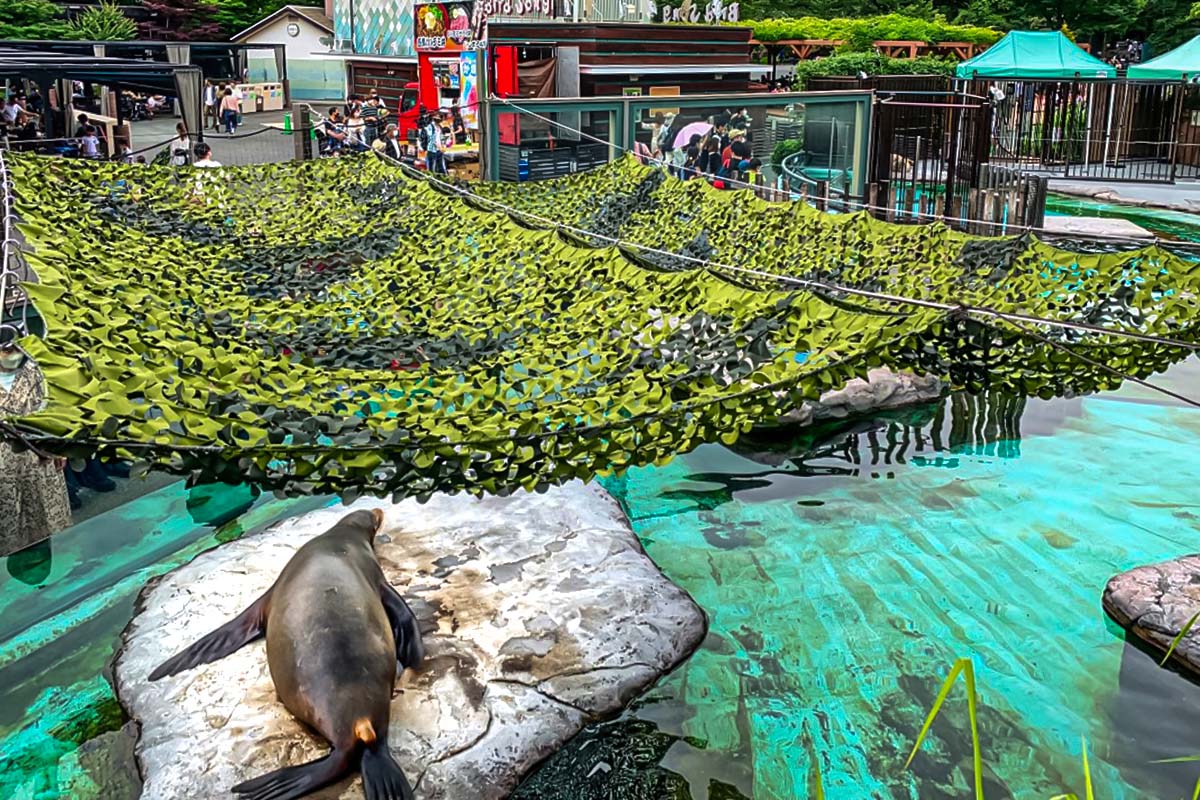 Ueno zoo in Tokyo is the best zoo to visit