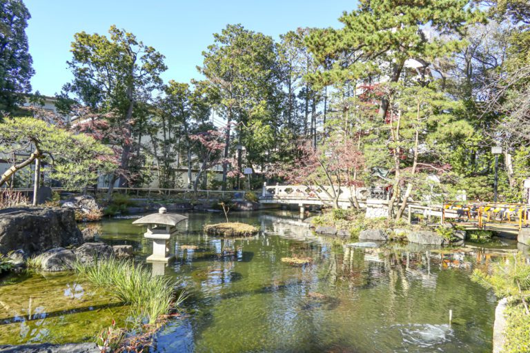 Nishiarai Pond