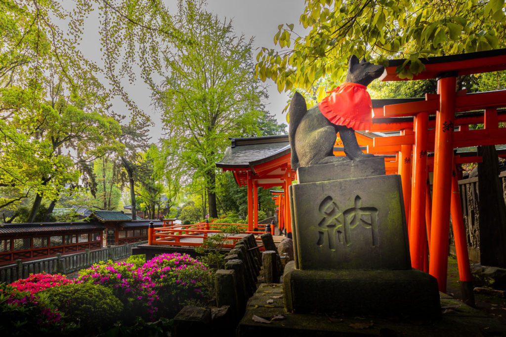 Fox God of Otome Inari Shrine