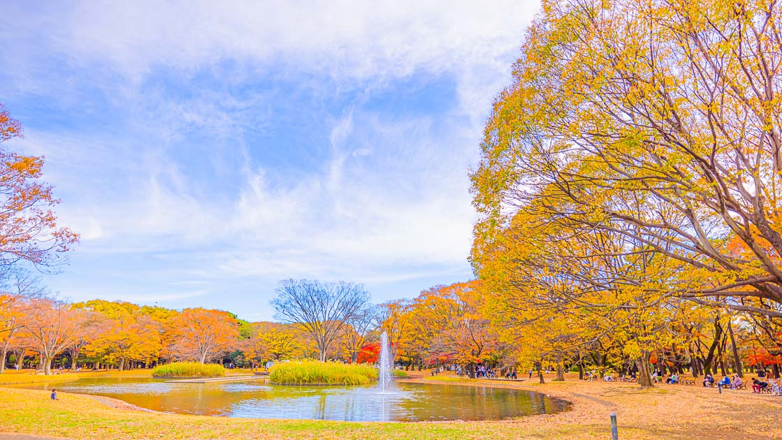 Yoyogi Park is the most popular park near Meiji Shrine