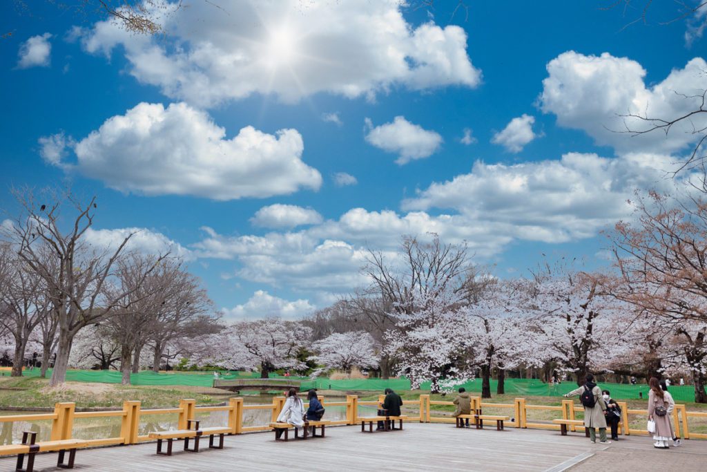 Yoyogi Park's main fountain