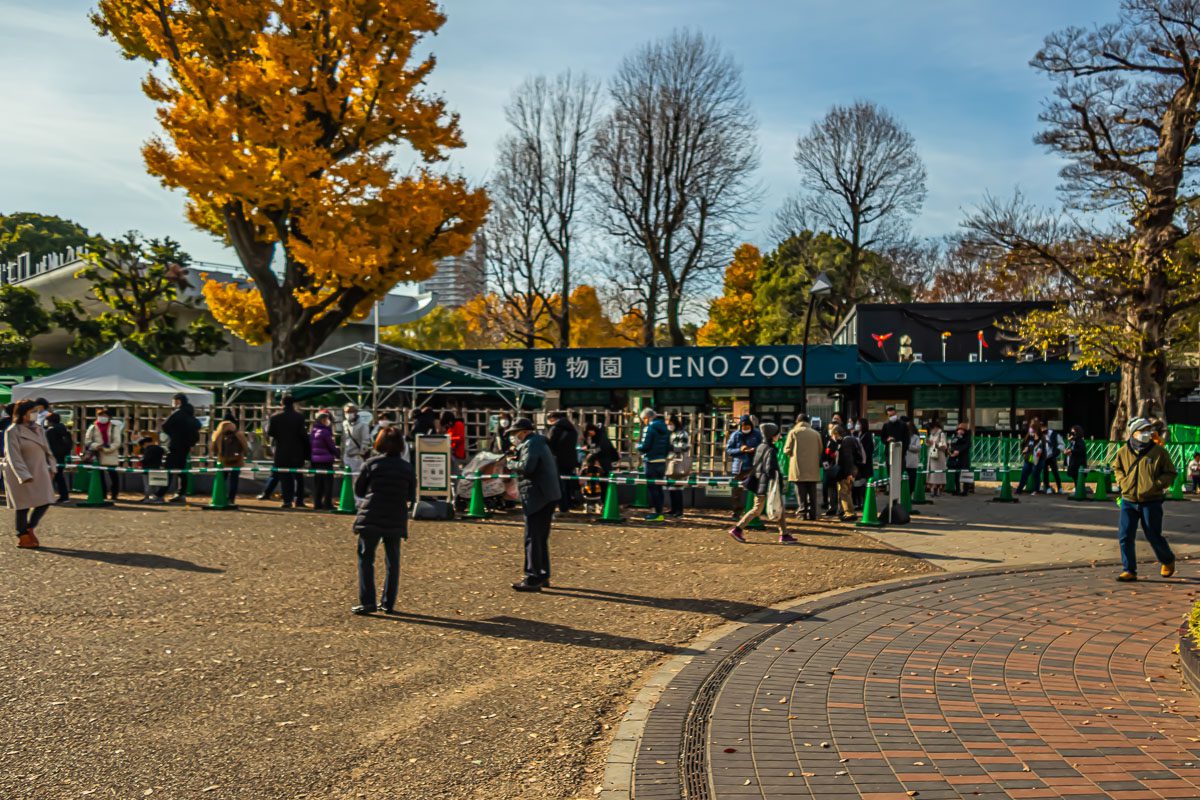 Ueno zoo in Tokyo is the best zoo to visit