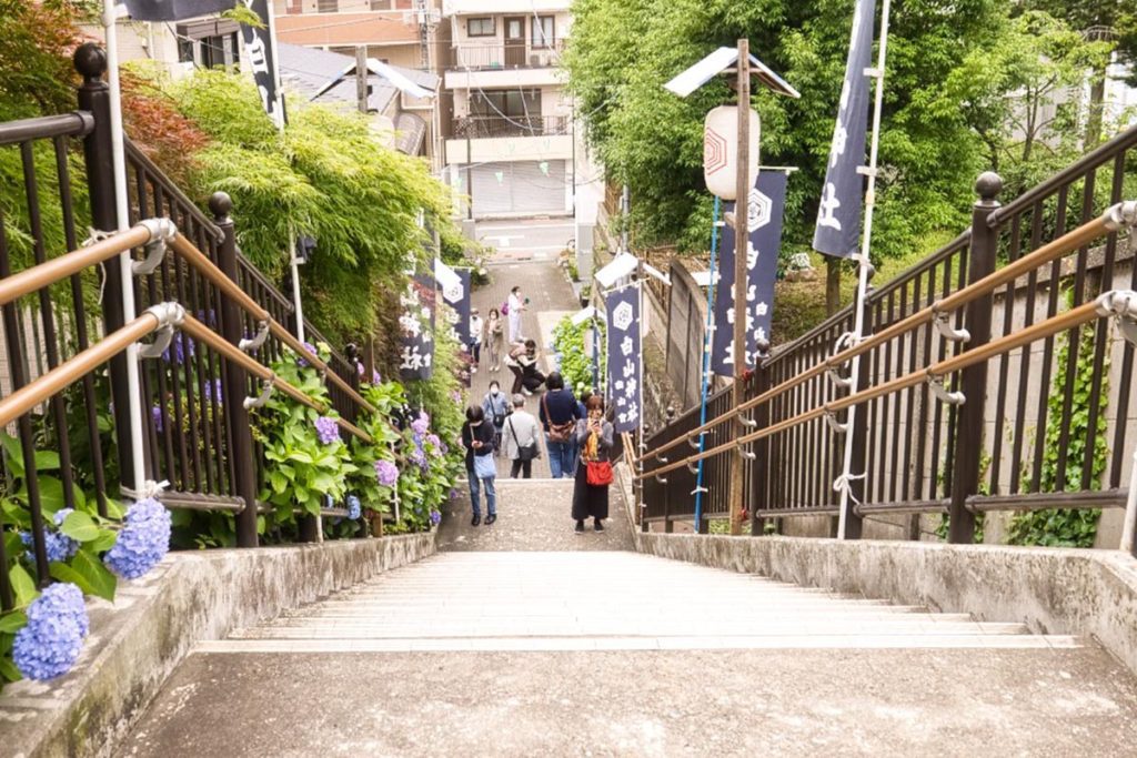 Stairs during hydrangea festival