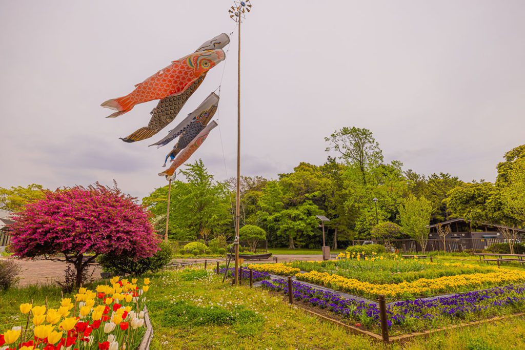 Children's Day, Koinobori at Mizumoto park