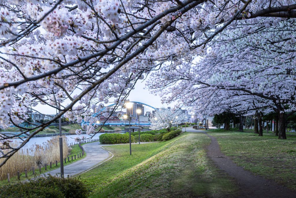 Kyunakagawamizube Park in the morning