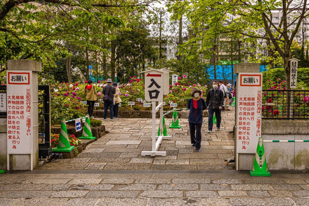 Hana-Matsuri in Nishiarai Daishi (Flower Festival)Peony garden gate