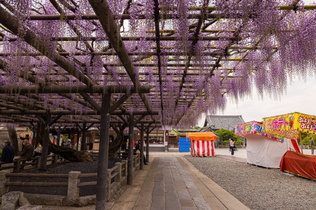 Hana-Matsuri in Nishiarai Daishi (Flower Festival),Towards Lucky Charm Counter