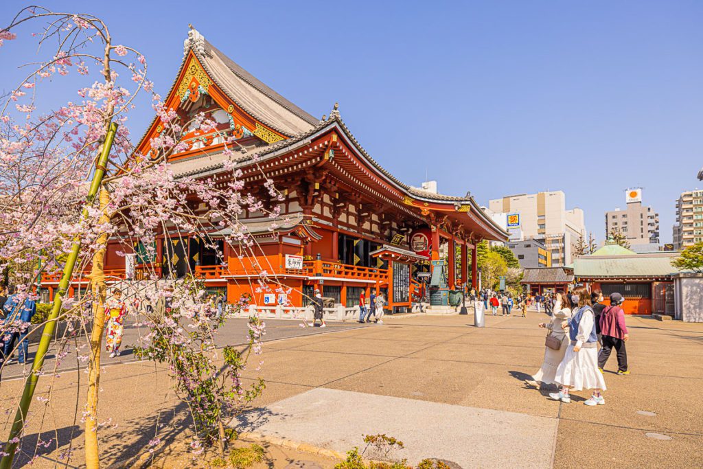 During Sensoji Hana Matsuri