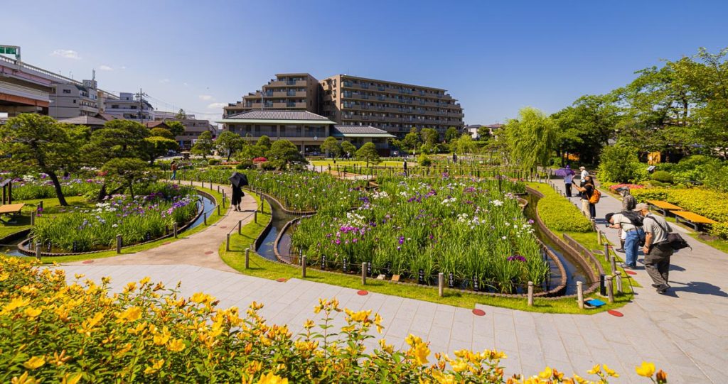 Horikiri Iris Garden