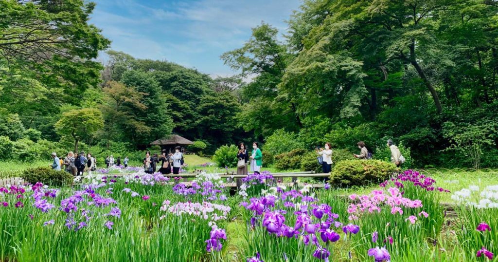 Meiji Shrine Inner Garden