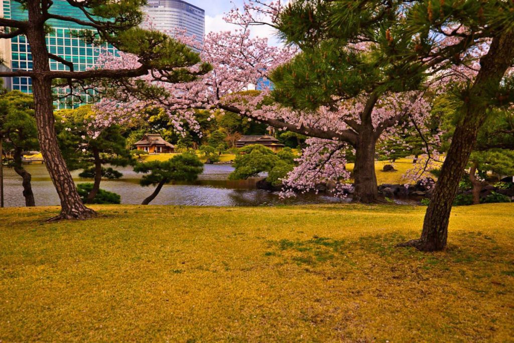 Hamarikyu Gardens:sep:10:22, what to do in Ginza, Japan