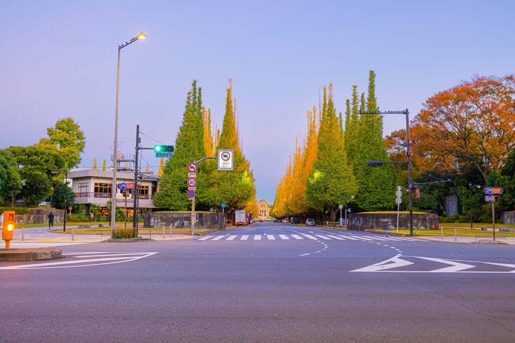 Front of Metlife Building at Meijijingu Gaien Ginkgo Avenue