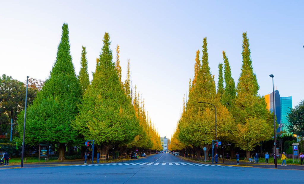 Front of the fountain at Jingu Gaien Ginkgo Avenue