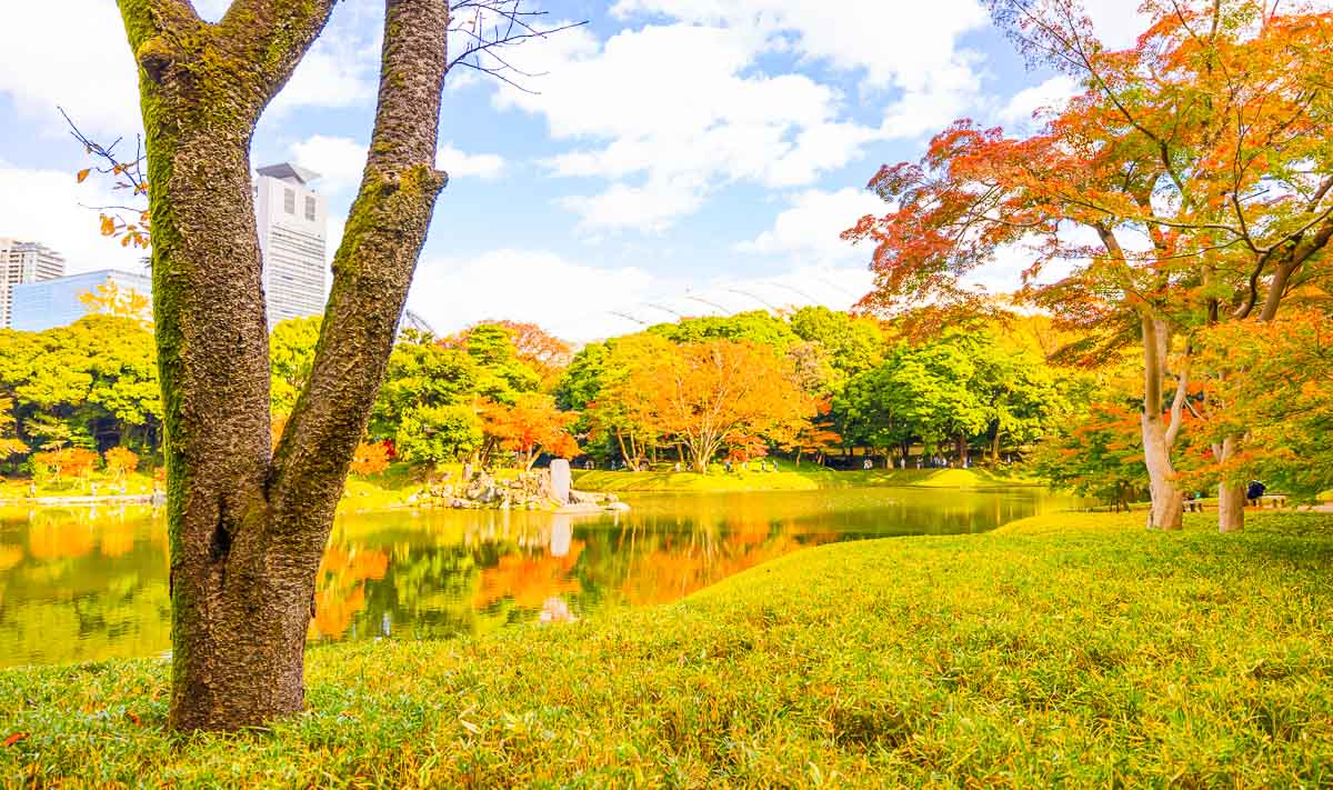 20 best places to see Autumn Leaves in Tokyo