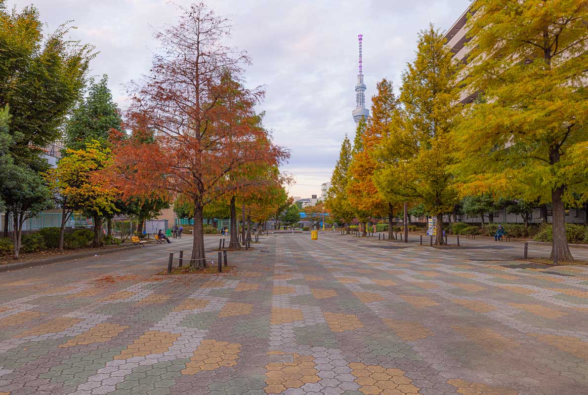 20 best places to see Autumn Leaves in Tokyo
