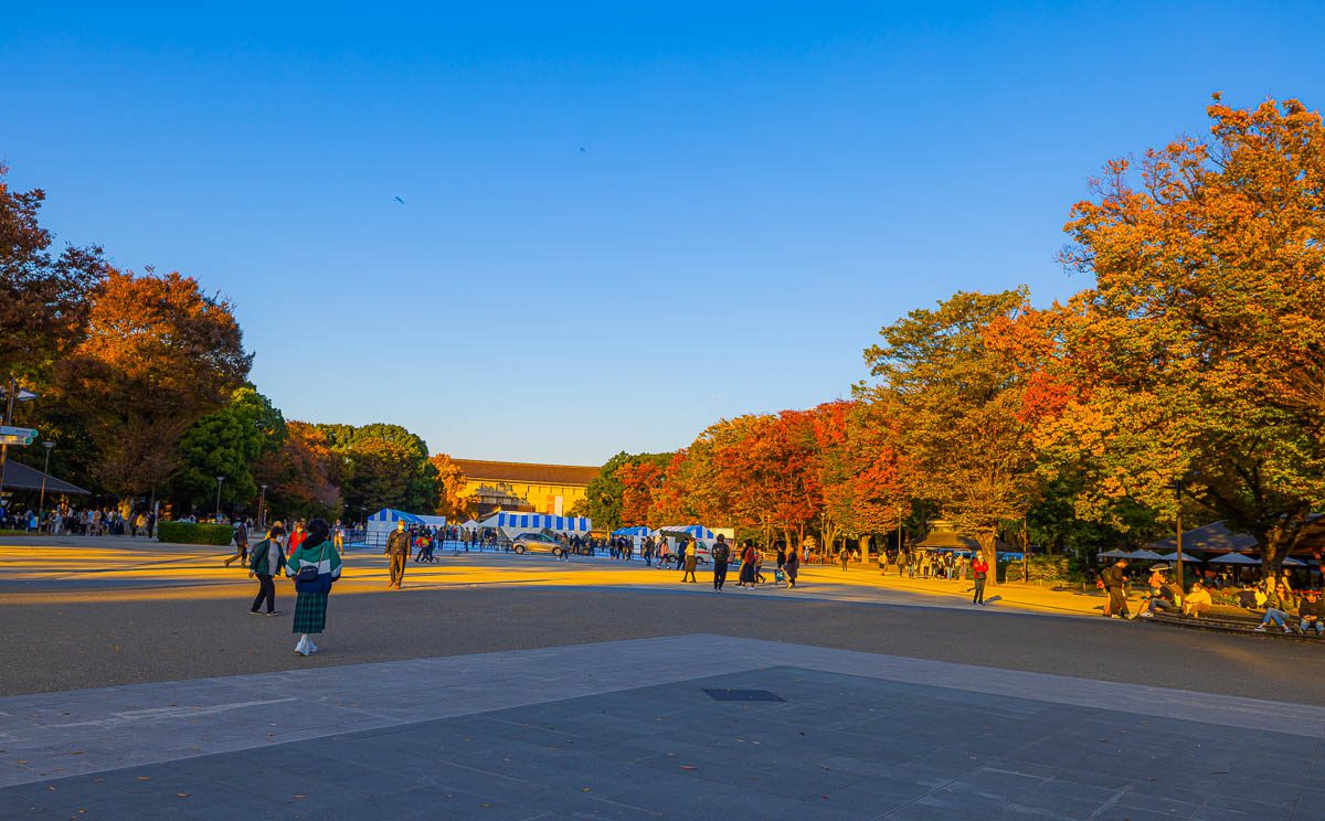 20 best places to see Autumn Leaves in Tokyo