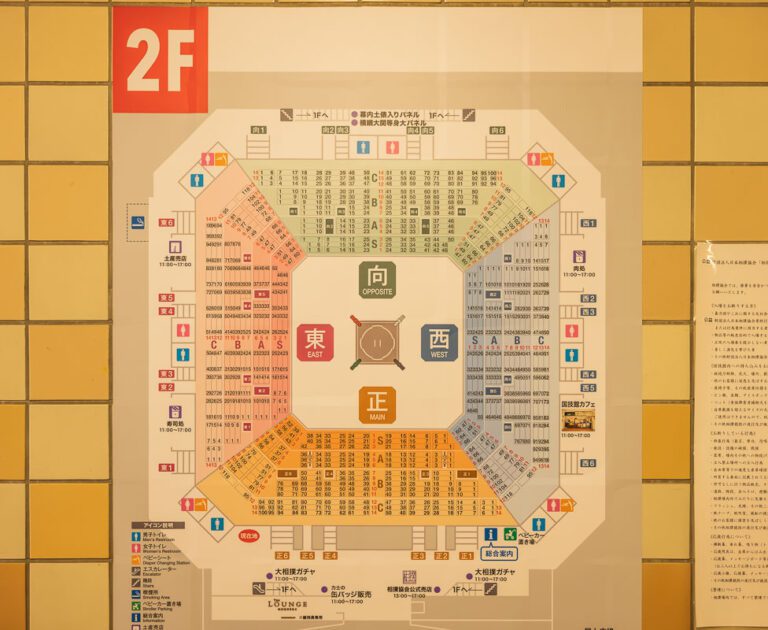 Tokyo Sumo and sumo Tickets A Full Guide