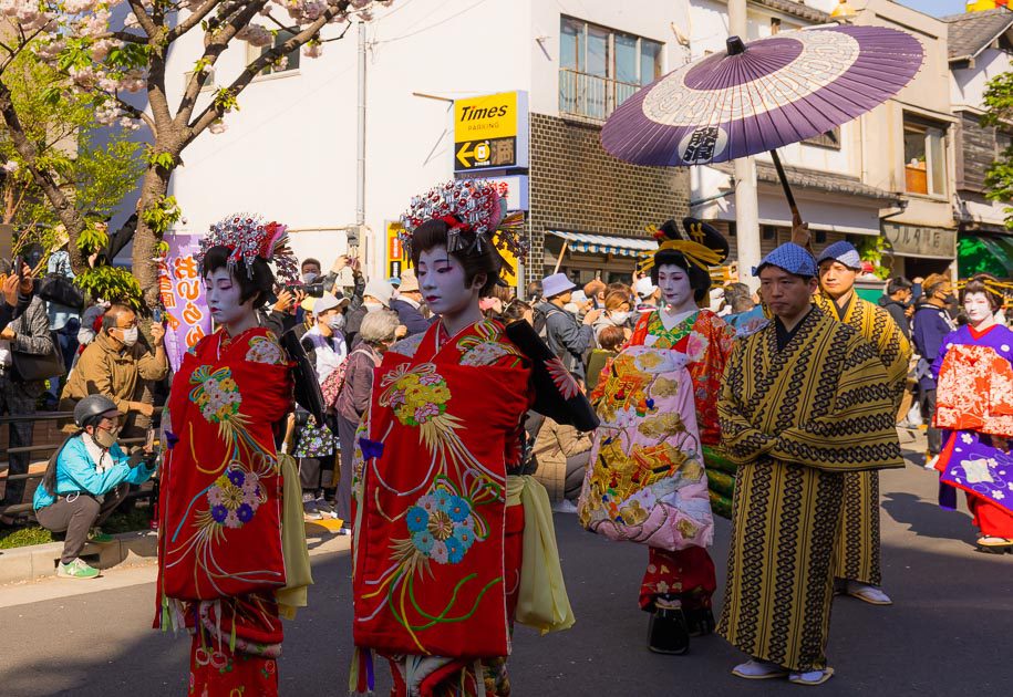 Main Orian at Sakura Festival