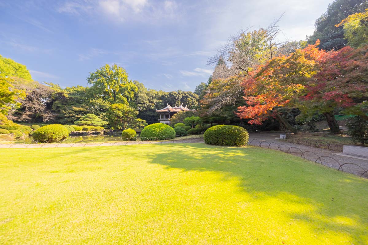 Shinjuku Gyoen National Garden: An Urban Eden in Tokyo