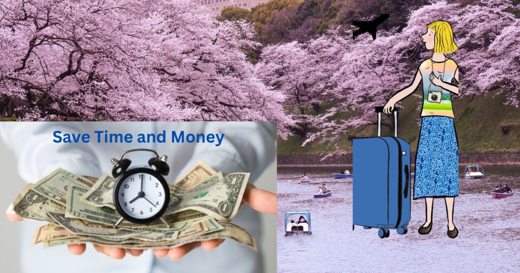 Save time & Money, Tour Guide in Tokyo