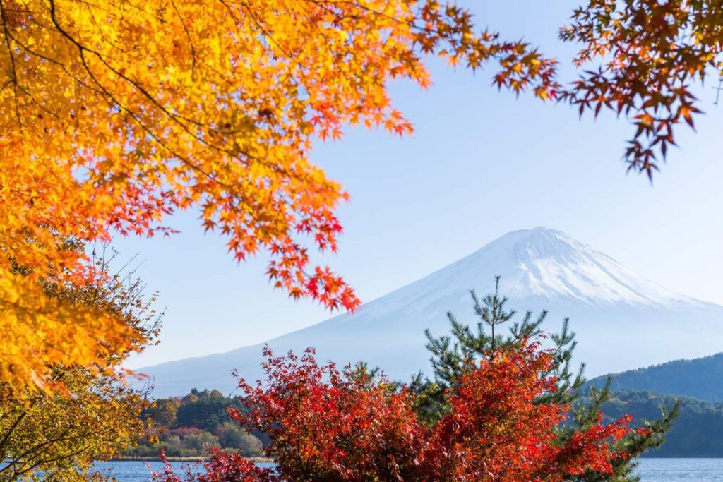 Fuji in Autumn from the lake