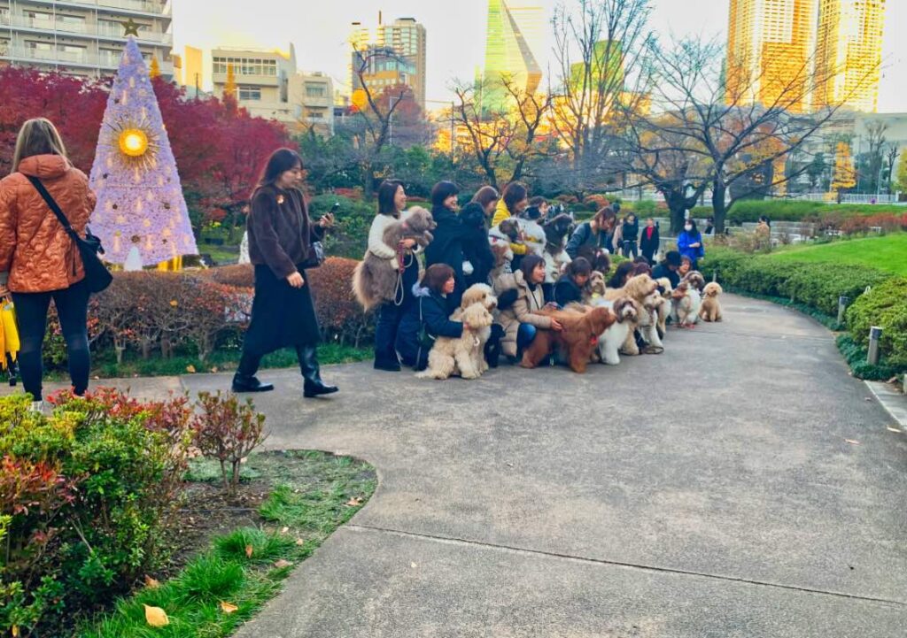 Tourists from Osaka/ Mohri Garden