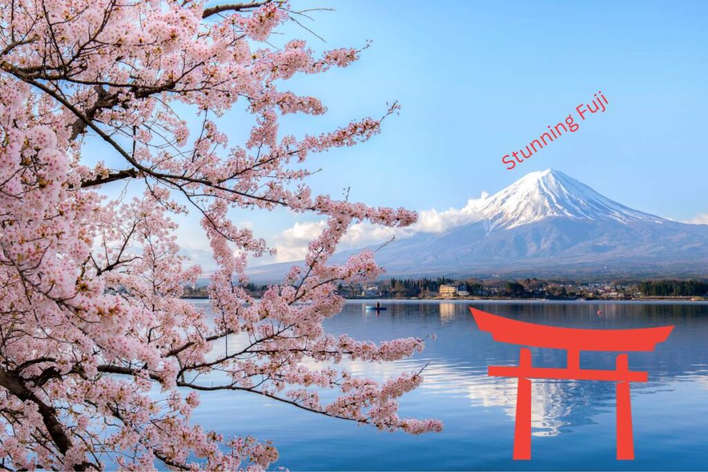 Stunning fuji from pagoda in Spring during cherry blossom season