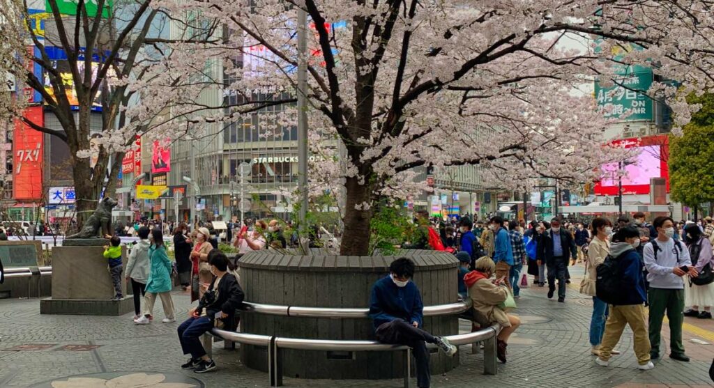 Iconic view of Shibuya Crossing with bustling crowds, neon signs, and a vibrant urban setting.